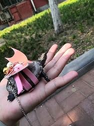 Turtle Harness and Leash with Wings Tortoise Leash