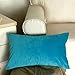 Artcest Set of 2, Cozy Solid Velvet Throw Pillow Case, Decorative Couch Cushion Cover, Soft Sofa Euro Sham with Zipper Hidden, 12
