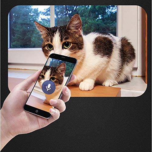 0 Outdoor Automatic Pet Feeder Food Dispenser Dogs Cats