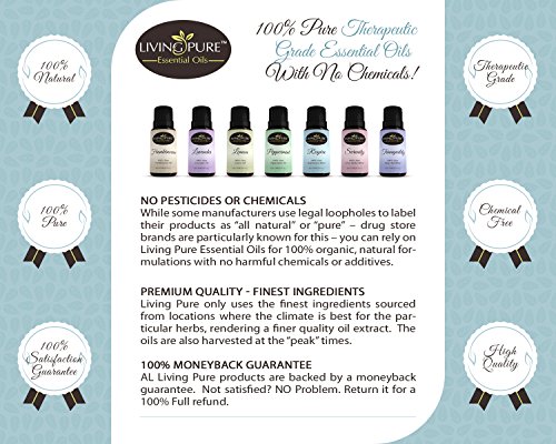 #1 Peppermint Essential Oil - Pure Peppermint Oil by Living Pure Essential Oils - Aid Indigestion and Freshen Rooms - Natural Headache Relief - 100% Organic Therapeutic & Aromatherapy Grade - 15ml - Thumbnail 3