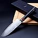 TUO Cutlery Damascus Santoku Knife 5.5 - Japanese 67 Layers VG-10 Damascus Steel with Case - Ring Series