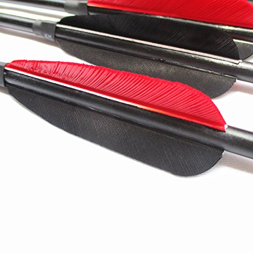 image for Letszhu Fiberglass Archery Shaft Arrows Real Feathers with Replaceable