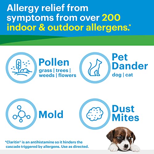 Claritin RediTabs 24 Hour Allergy Medicine, Non-Drowsy Prescription Strength Allergy Relief, Loratadine Antihistamine Tablets, 30 Count