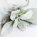 Skyseen 5PCS Artificial Flowers Flocked Rabbit Ear Leaf for Home Decor,Green