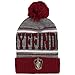 Bioworld Harry Potter Gryffindor Pom Pom Unisex Adult Beanie Multi