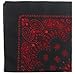 Black & Red Trainmen Paisley Jumbo Bandana (27