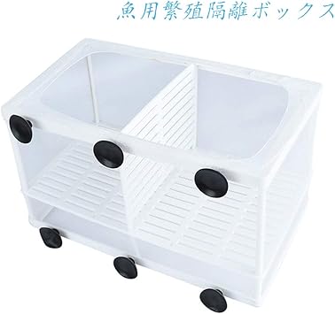 Amazon Flymylion 魚用繁殖隔離ボックス 魚 分離 孵化箱 飼育箱 産卵箱 メッシュ製 熱帯魚 稚魚 病気魚を隔離 1つ 2つの隔離空間 水換え お掃除用 水槽用 健康な環境 水族館アクセサリー L Flymylion 飼育セット 通販