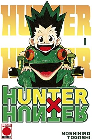 Amazon.com: Hunter x hunter 01: 9788490242070: Books