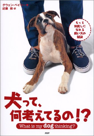 犬って 何考えてるの グウェン ベイリ 近藤 修 本 通販 Amazon