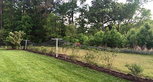 image for Poultry Netting 25ft x 50ft Heavy Knotted 2