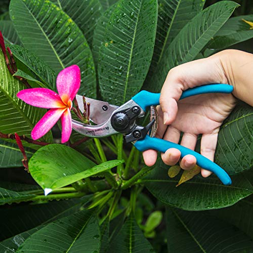 BUTTERFLY LOVE Professional Bypass Pruning Shears, Manual Hand Pruner, Garden Clippers, Tree Trimmers Secateurs (Blue-8 Inches)