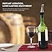 Zestkit Wine Aerator Pourer Modern Aerating Pourer Red and White Wine Decanter Spout, Black