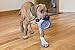 KONG Puppy Tires - Dog Chew Toy for Puppies - Stuffable Dog Toy for Treats & Snacks - Natural Rubber Chew Toy for Teething Puppy - for Medium/Large Puppies - Randomly Provided Color