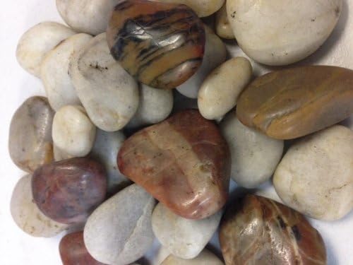 TBC Rocks: Unique Assorted Light Rich Warm Tone Colors of White & Brown. Beautiful Large Polished River Rocks, Assorted Colors and Sizes (Most Rocks Over 1.5 Inches in Length). Use as Table Scatters, Vase Fillers, in Floral Arrangements, Candle Arrangements, Aquariums, Wet or Dry. Indoor or Outdoor Gardens, Containers, Fountains and Spas. Great for Eye Catching Centerpiece. 1.5 Pounds Aprox Weight Per Bag.