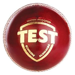 SG Test Cricket Sports Collection Original Leather Cricket Ball (RED)