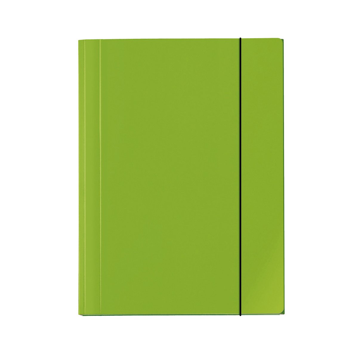 Veloflex 4432341 Velocolor Portfolio File Folder A3 Green