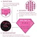 Drink If Bachelorette Party Game – 30 Count - Naughty Bachelorette Party Decorations - Great for Girls Weekend Gift or Bachelorette Gift - Best Adult Drinking Game for Girls Night Out or Ladies Night