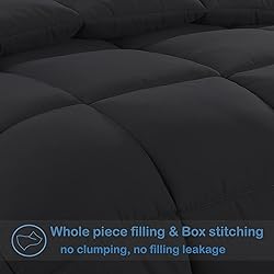 EASELAND All Season Queen Size Soft Quilted Down