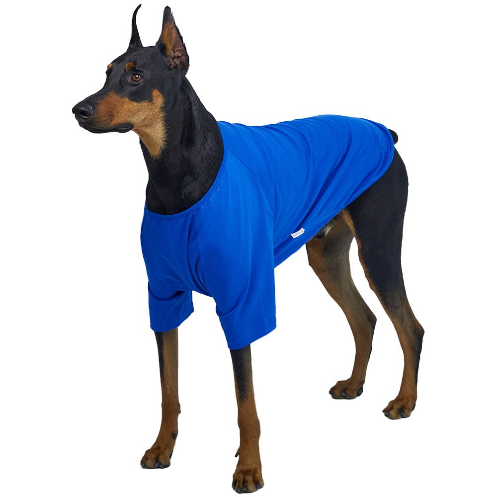 Photo 1 of Lucky Petter Dog Shirt for Small Dogs Plain T-Shirts Soft Breathable Dog Cotton Shirt pet Clothes (3X-Large, Blue)