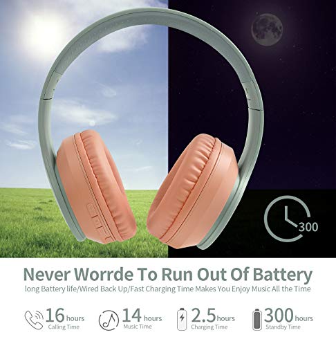 Lobkin Over The Ear Bluetooth Headphones with Microphone, Foldable Hi-Fi Stereo Noice Reduce Earphones for Class, Home Office, Game/TV/PC/Phone Comfortable Steel Wireless Headphone