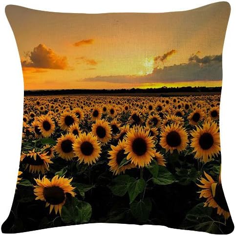18x18 Inches Plush Cushion Covers Throw Pillowcases - Sunflowers Field Sunset - Super Soft Fashion Simple Decorative Pillowcases