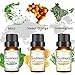 Skymore Top 6 Essential Oil Blend Gift Set, 100% Pure Aromatherapy Oils for Diffuser, Best Therapeutic Grade Essential Oil Kit - 6/10ml (Sleep, Breathe, Relaxation, Refresh, Immunity, Decompression)