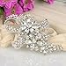 EVER FAITH Wedding Silver-Tone Bowknot Flower Clear Austrian Crystal Brooch