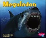 Megalodon (Dinosaurs and Prehistoric Animals)