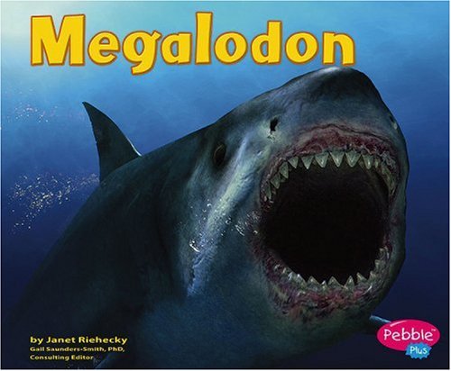 Megalodon (Dinosaurs and Prehistoric Animals)