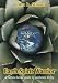 Earth Spirit Warrior: A nature-based guide to authentic living by