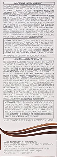 Clairol Nice 'n Easy Hair Color 121A, 3.5 Natural Darkest Brown 1 Kit (Pack of 3)