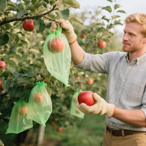 Pack of 100 Protective Bags for Grapes, 20 x 30 cm Drawstring Bag to Protect Fruit, Green Fruit, Protects Against Wasps, Fruit Flies, Birds and Other Insects