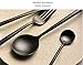 Jinsen Stainless Steel Flatware Set for Home Kitchen Restaurant Hotel (Matt Black)