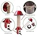 Roamwild PestOff Red Squirrel Proof Cardinal Bird Feeder Mixed Seed Sunflower Heart Version - RED - 3LBS Seed Capacity – 20.5”x7.5”x7.5” (w/Hanger)