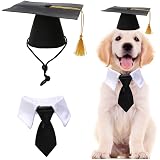 Pet Cat Graduation Cap 