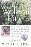 Front cover for the book The wollemi pine : the incredible discovery of a living fossil from the age of the dinosaurs by James Woodford