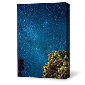 Canvas Wall Art Bright Moon Shining...