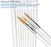 Paint Brushes, StarVast 12pcs Paint Brush Set | Acylic Painting Brushes for Watercolor, Oil, Acrylic, Gouache, Plein Air Crafts, Miniatures, Models, Rock, Art, Hobbies, Nail, Face Painting