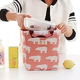 Modern large capacity Thermal Insulated Lunch Box