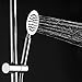 Stainless Steel Handheld Shower Head