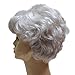 Hmy Grey Short Curly Women Synthetic Full Wig Capless Wig+Wig Cap(2033#60)