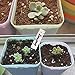 Plant Labels, ZOUTOG 1000 Pcs Plastic Plant Tags 4 Inch Garden Makers with Pen