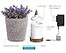 AIGOCEER Essential Oil Diffuser, 200ml Artificial Lavender Potted Aromatherapy Diffuser Humidifier with Adjustable Mist Mode and Auto Shut-Off Function, Perfect for Home Office Spa-Room Baby Roomthumb 2