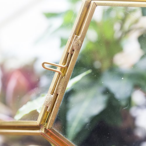NCYP Close Footed Gold Copper Brass Glass Geometric Terrarium with Door Pentagon Ball Shape Close Fern Moss Succulent Planter Pot Display Case Box 5.9inches (No Plants)