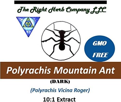 Polyrhachis Mountain Ant Extract Powder (20:1) Dark GMO FREE ! by Yuensun