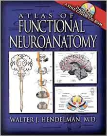Atlas of Functional Neuroanatomy: 9780849311772: Medicine & Health