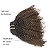 Lacer Ombre Remy Clip in Human Hair Extensions Afro Kinky Curly Clip 4B 4C Real Remy Natural Black Hair Extension Clip in Human Hair Two Tone T#1B/4 Dark Brown Color Full Head 18 Inch