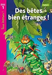 Drôles de petites bêtes !