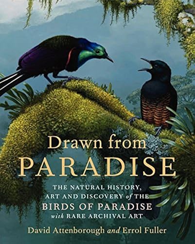 Download Drawn from Paradise: The Natural History, Art and Discovery of the Birds of Paradise with Rare Archival Art PDF