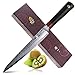 TUO Cutlery Utility Knife - Japanese AUS-10 Damascus Steel - Paring Knife with Dishwasher Proof G10 Handle - RING-D Series - 6